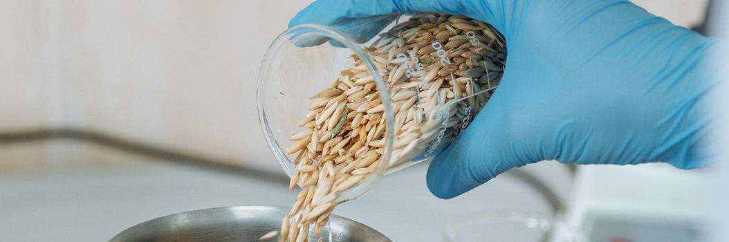Sécurité alimentaire au Mali meunerie production farine qualité céréales